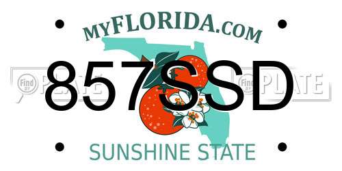 857SSD Florida License Plate