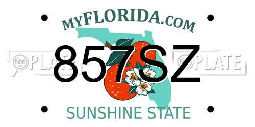 857SZ Florida License Plate