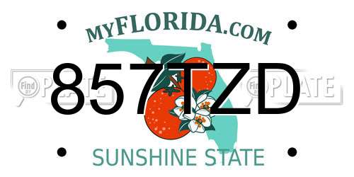 857TZD Florida License Plate