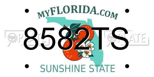 8582TS Florida License Plate