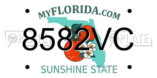 8582VC Florida License Plate