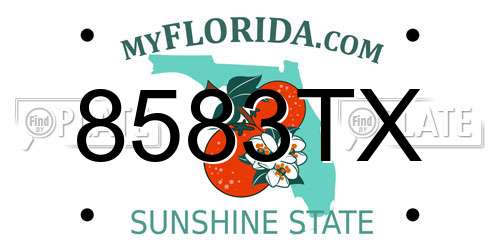 8583TX Florida License Plate