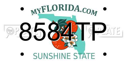 8584TP Florida License Plate