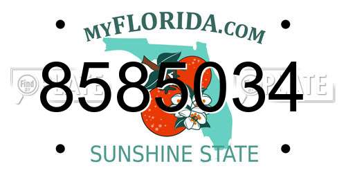 8585034 Florida License Plate