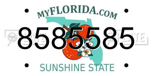8585585 Florida License Plate