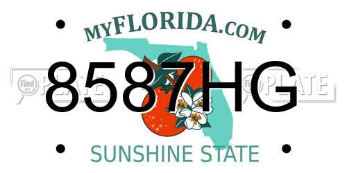 8587HG Florida License Plate