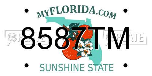 8587TM Florida License Plate