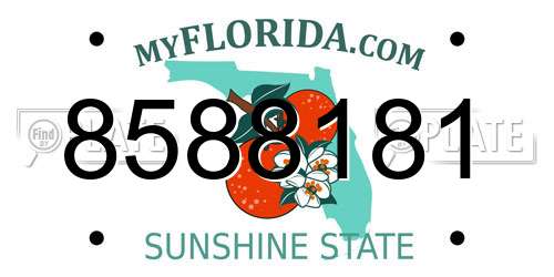 8588181 Florida License Plate