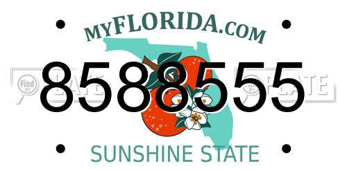 8588555 Florida License Plate