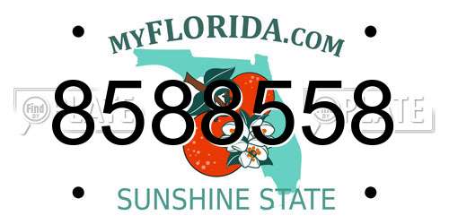 8588558 Florida License Plate