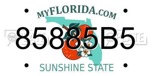 85885B5 Florida License Plate