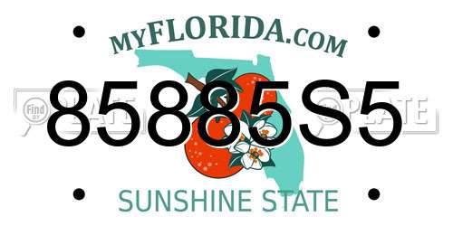 85885S5 Florida License Plate