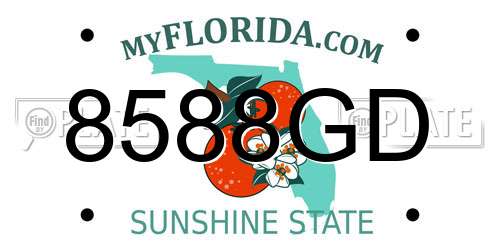 8588GD Florida License Plate