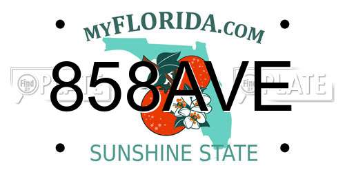 858AVE Florida License Plate