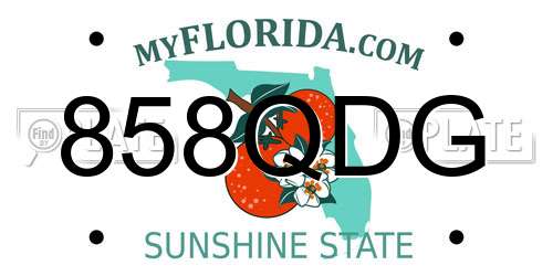 858QDG Florida License Plate