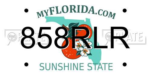 858RLR Florida License Plate