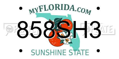 858SH3 Florida License Plate