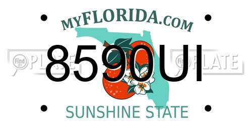 8590UI Florida License Plate