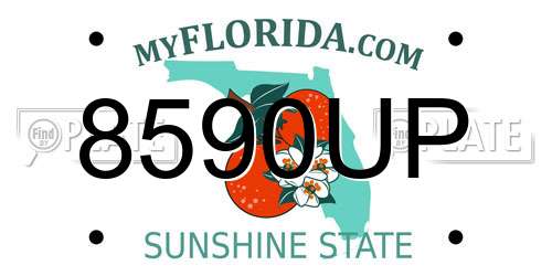 8590UP Florida License Plate