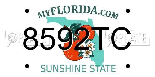 8592TC Florida License Plate