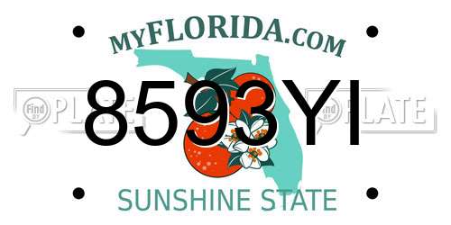 8593YI Florida License Plate