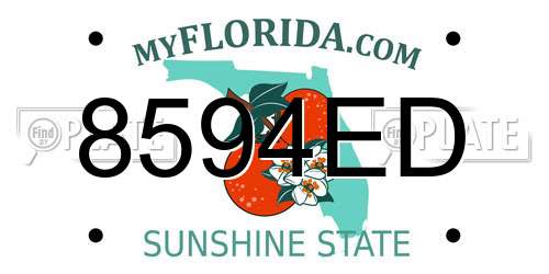 8594ED Florida License Plate