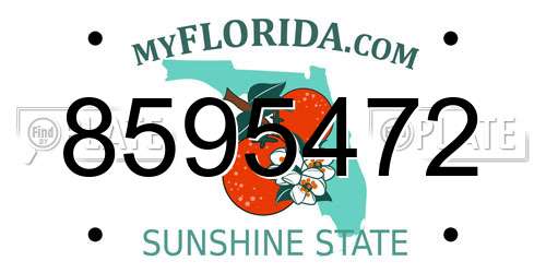 8595472 Florida License Plate