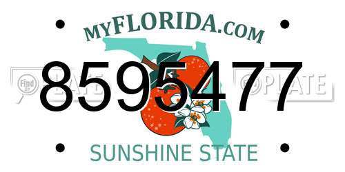 8595477 Florida License Plate