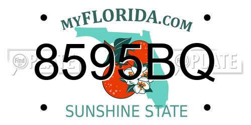 8595BQ Florida License Plate