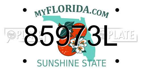 85973L Florida License Plate