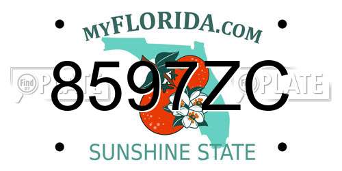 8597ZC Florida License Plate