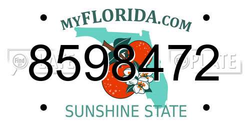 8598472 Florida License Plate