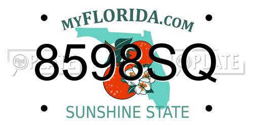 8598SQ Florida License Plate