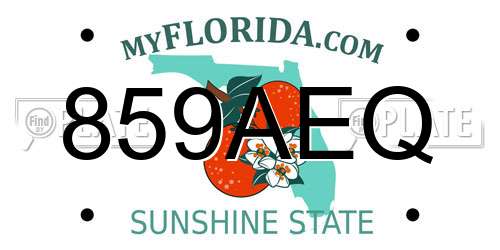 859AEQ Florida License Plate