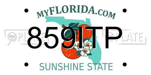 859ITP Florida License Plate