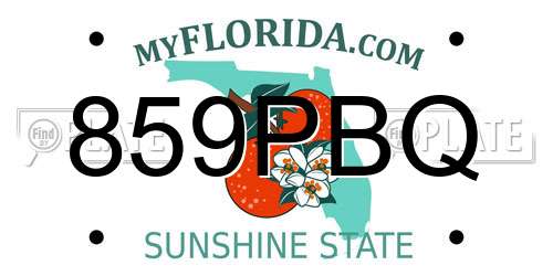859PBQ Florida License Plate