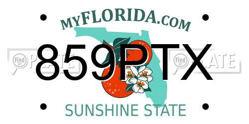859PTX Florida License Plate