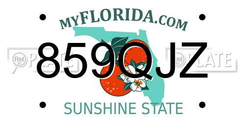 859QJZ Florida License Plate