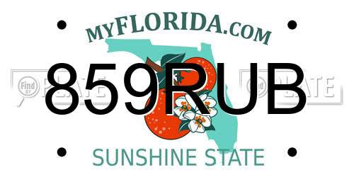 859RUB Florida License Plate
