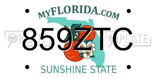 859ZTC Florida License Plate