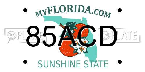85ACD Florida License Plate