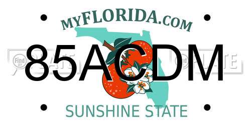 85ACDM Florida License Plate
