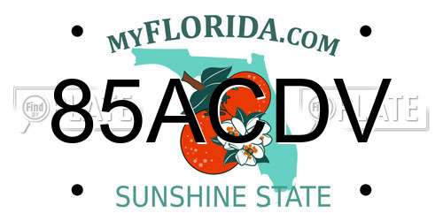 85ACDV Florida License Plate