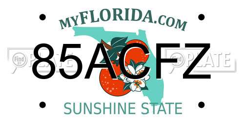 85ACFZ Florida License Plate