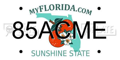 85ACME Florida License Plate