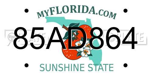 85AD864 Florida License Plate