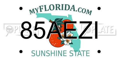 85AEZI Florida License Plate