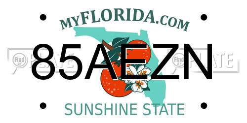 85AEZN Florida License Plate