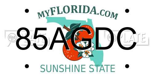 85AGDC Florida License Plate