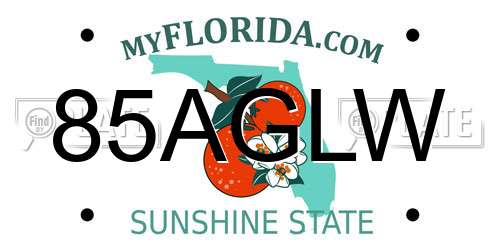 85AGLW Florida License Plate